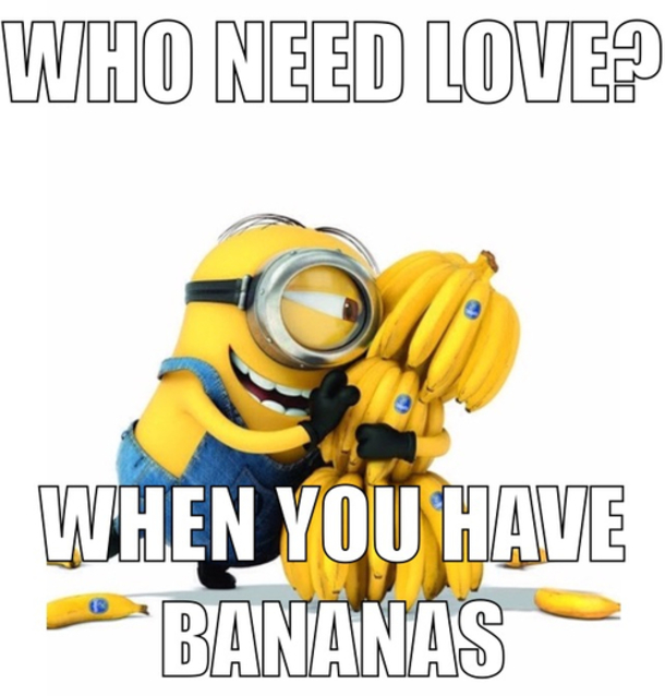 13 Of The Best Minion Memes On The Internet. lovethispic.com. helpful non h...