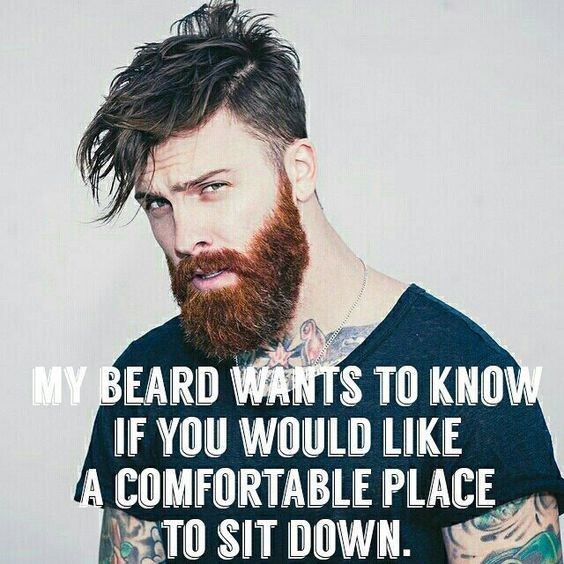 Funny beard Memes