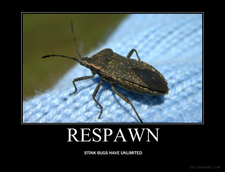 stink bug demotivational by Amybabe0707 on Deviant. helpful non helpful. am...