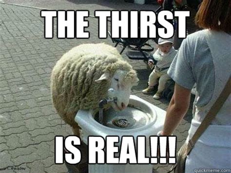 The thirst is real. 