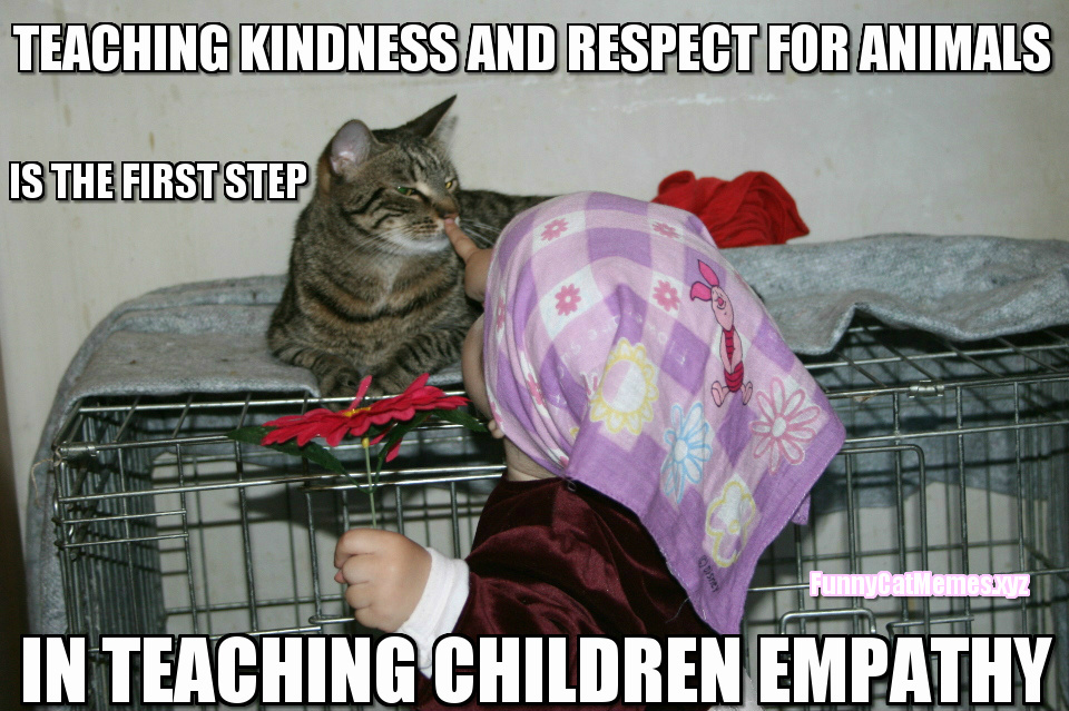Teaching Children Kindness And Respect For Animals!, Cat MEME. 