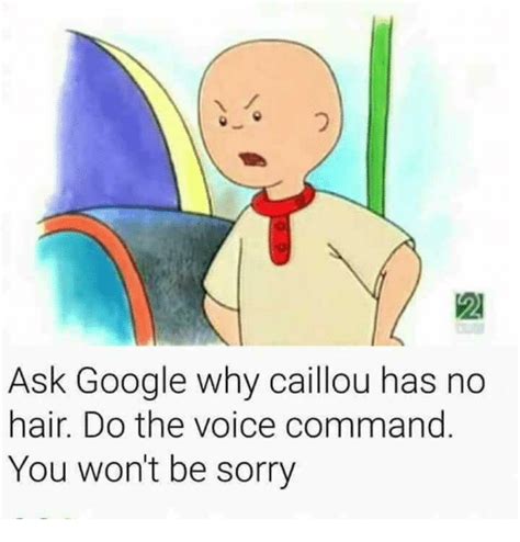 Why Is Caillou Bald Memes