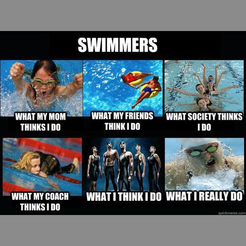 Competitive swimming Memes