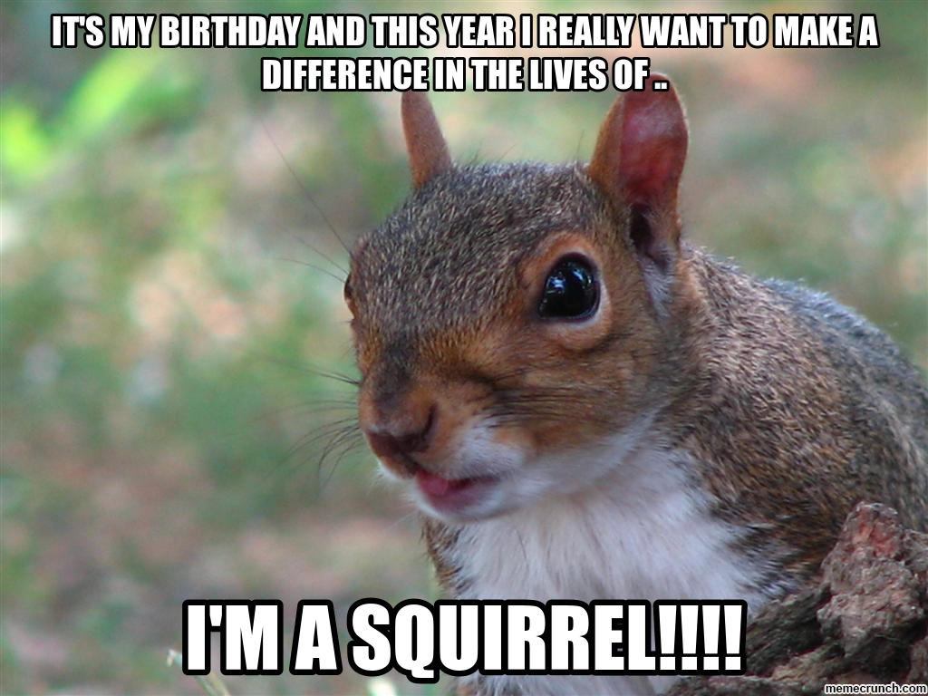 helpful non helpful. funny squirrel memes. memespp.com. 