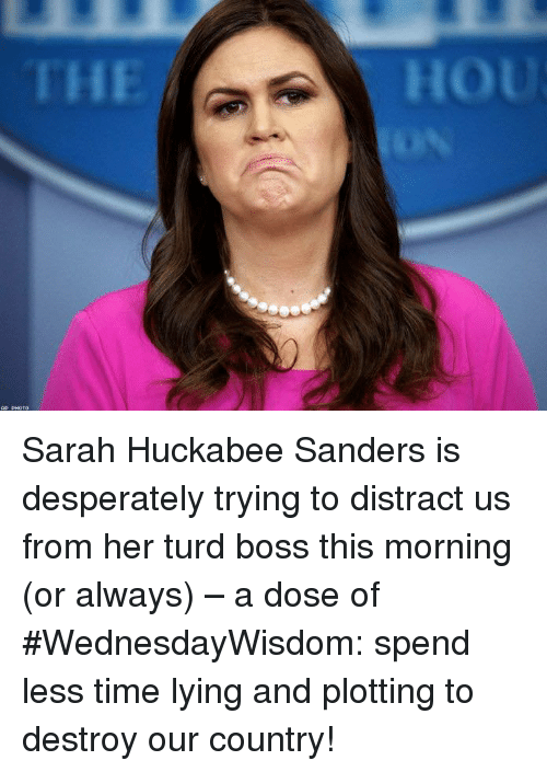 Sarah huckabee sanders Memes