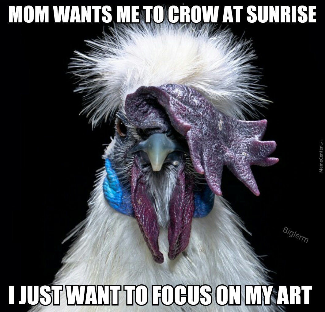 Emo Rooster Doesn't Need Your Judgment by biglerm, Meme. memecenter.co...