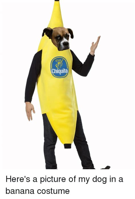 Banana suit Memes