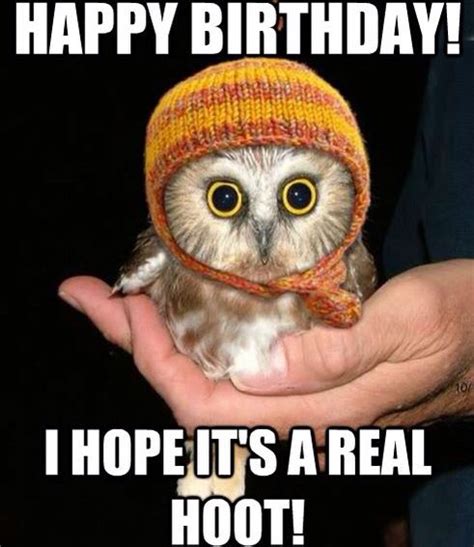 Animal birthday Memes