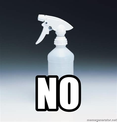 Spray Bottle No Meme, Best, and Decription. helpful non helpful. imagedoc.o...