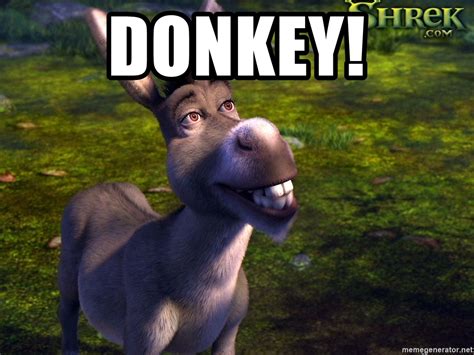 Donkey Shrek Memes