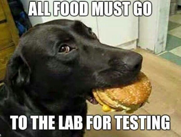 Funny Laboratory Memes.
