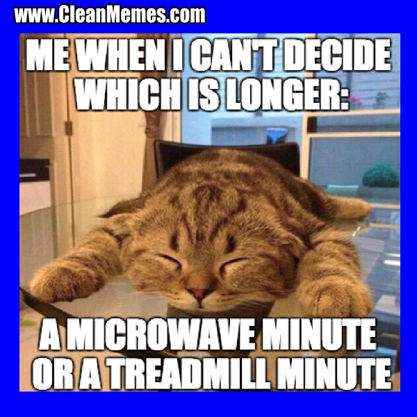 Clean Cat Memes Funny - 19 Very Funny Cat Memes Clean ...