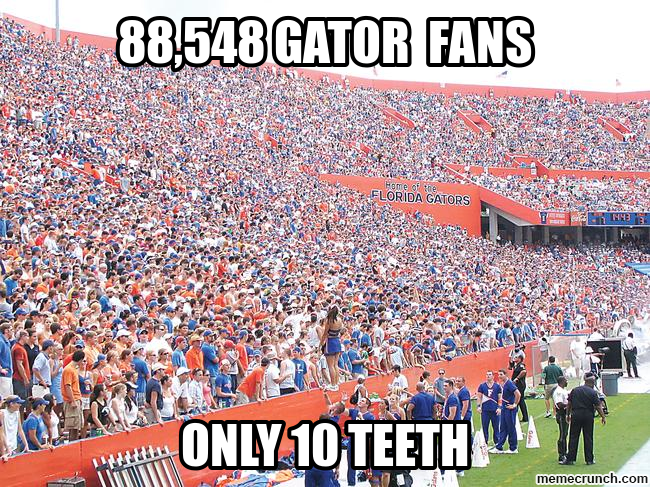 Florida Gators Meme - Buy florida gators football college single game ticke...