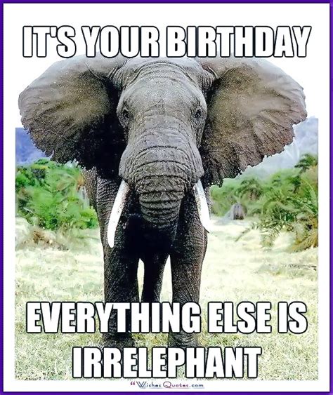 Elephant birthday Memes