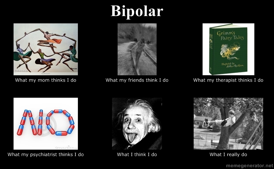 hollowayforhouse.com. bipolar disorder memes, 28 images, funny bipolar meme...