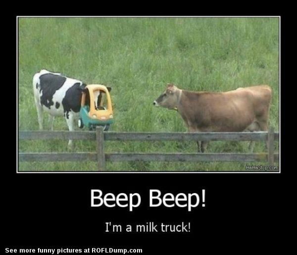 Milk truck #funny #cow #win #lol #truck #milk, Meme. pinterest.com. helpful...