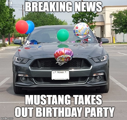 Funny mustang. 