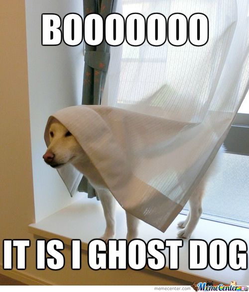 Funny ghost. 