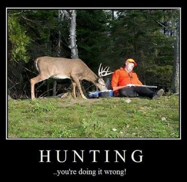 Funny deer hunting Memes