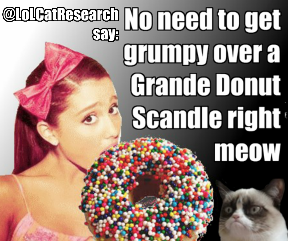 Donut Meme, to Pin on Pinterest, PinsDaddy. 