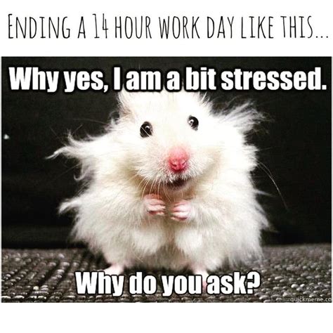 Stressed at work Memes