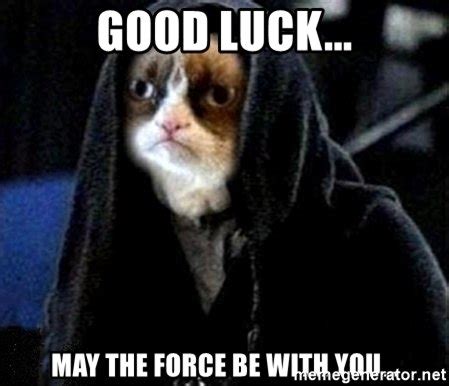Good luck cat Memes