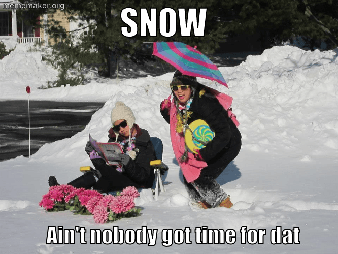 Funny snow day Memes