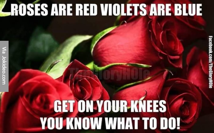 Best roses are red. 