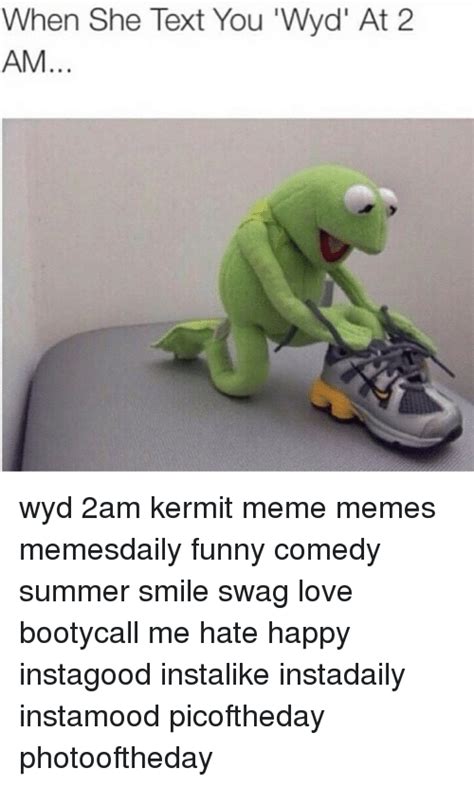 When She Text You 'Wyd' at 2 AM Wyd 2am Kermit Meme Memes. astrol...