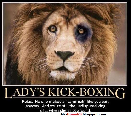 Kickboxing Memes