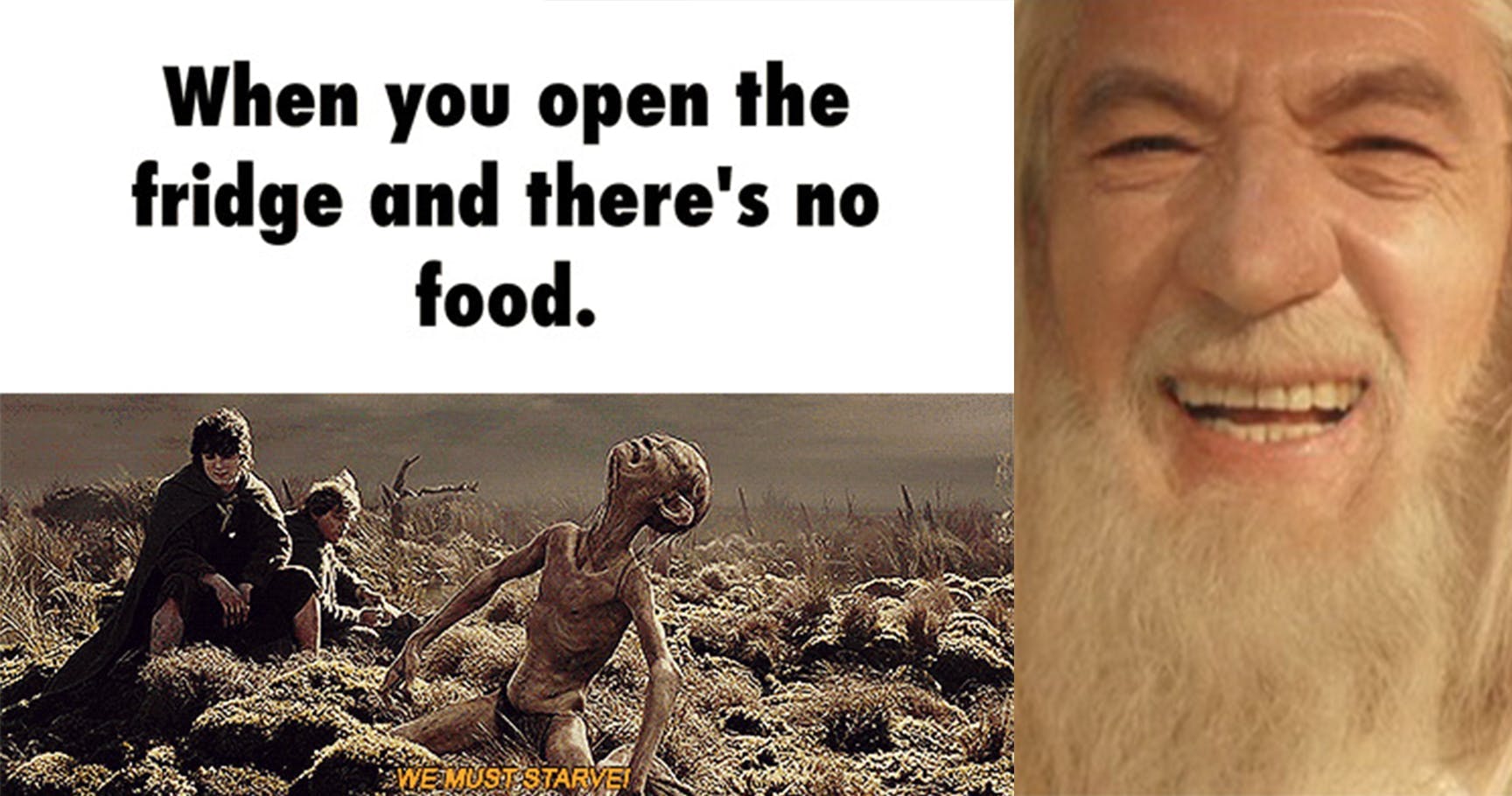 15 Memes That Will Make Any True 'Lord Of The Rings' Fan LOL. hel...