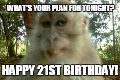 Monkey birthday. 