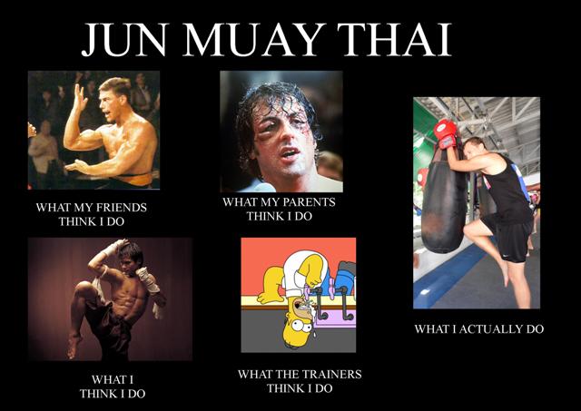 muay thai memes, 28 images, steven seagal helio www. helpful non helpful. a...