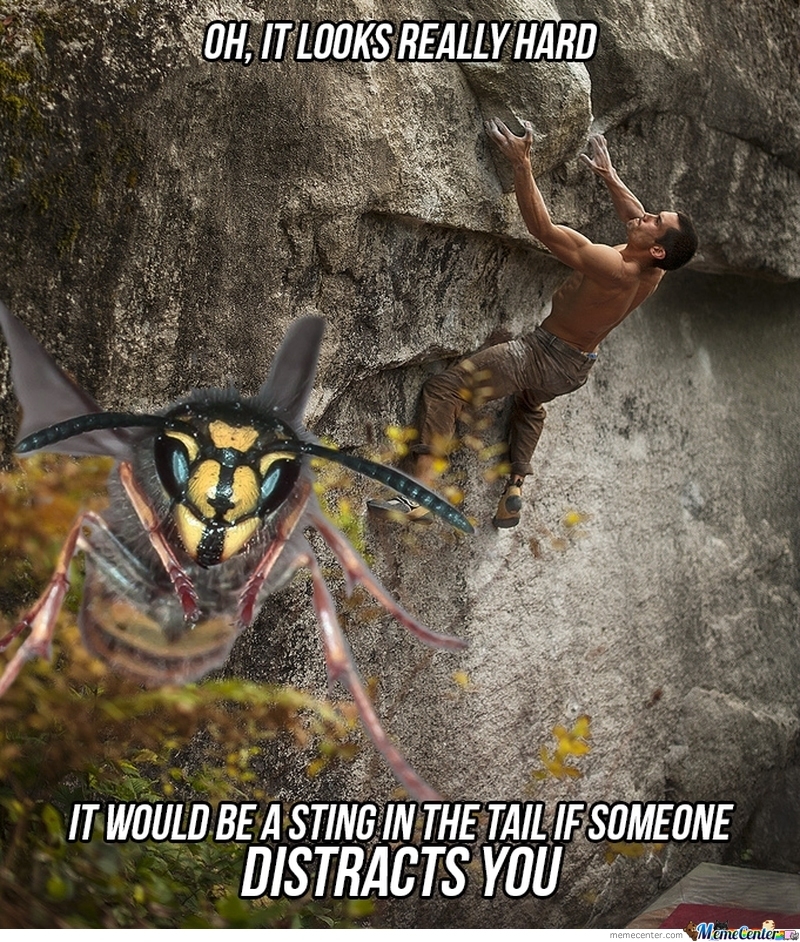 Trolling: Wasp Style by nedesem, Meme Center. helpful non helpful. memecent...