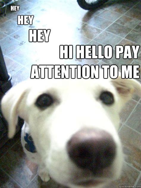 Image result for pay attention to me meme