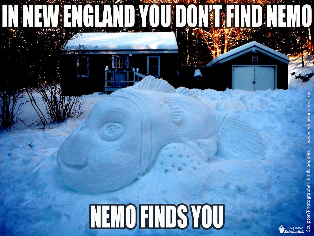 S, Storm Nemo Meme by emilysodders on Deviant. 