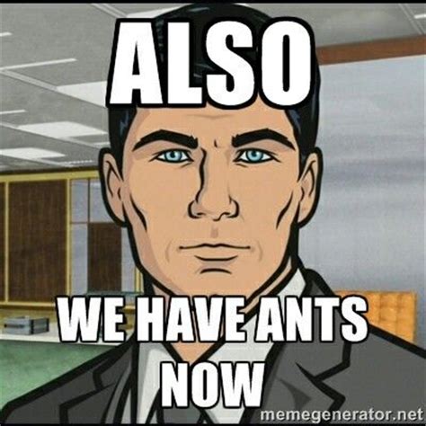Archer Ants Memes