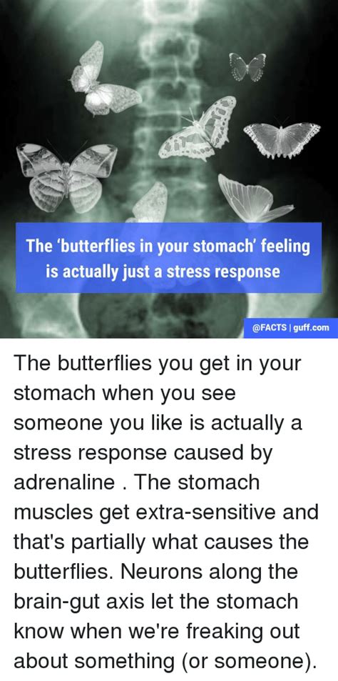 What makes butterflies in your stomach