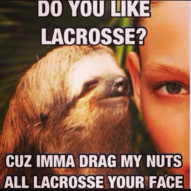 Dirty Sloth Meme. helpful non helpful. memeaddicts.com. 