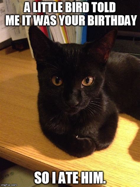 Black cat birthday Memes
