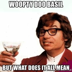 What does it all mean basil Memes